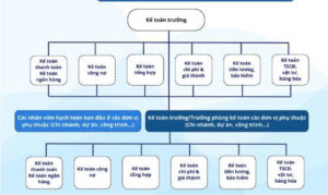 Sơ đồ bộ máy kế toán hỗn hợp tại công ty xây dựng 