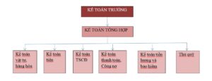 Tầm quan trọng việc xây dựng sơ đồ bộ máy kế toán tại công ty 